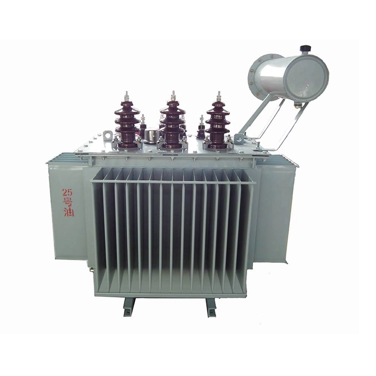 100 Kva 11 Kv Yağlı ONAN Transformator