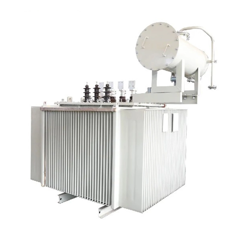 22kv Power Transformer 1000kva Oil Immersed